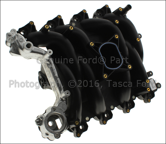 NEW OEM INTAKE MANIFOLD 4.6L V8 16V SOHC EFI MODULAR 20012004 FORD