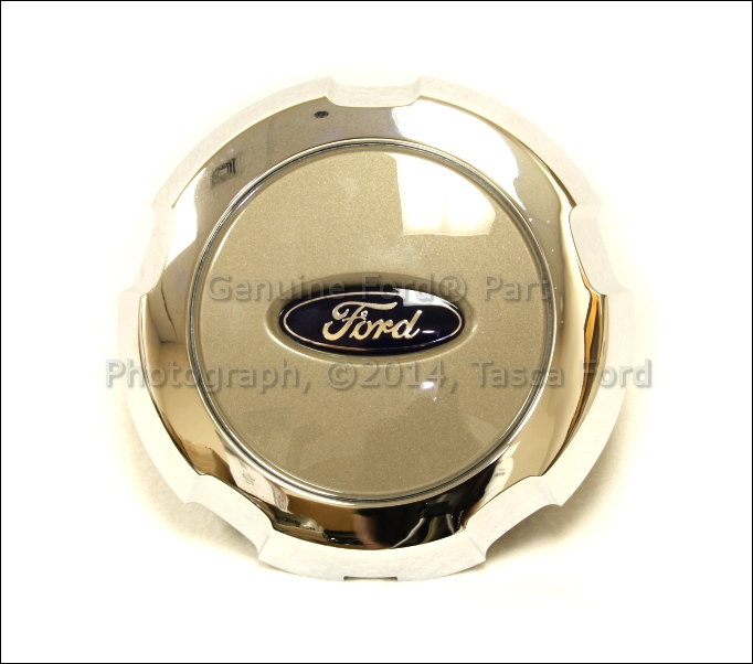 2005 Ford f150 center caps #8